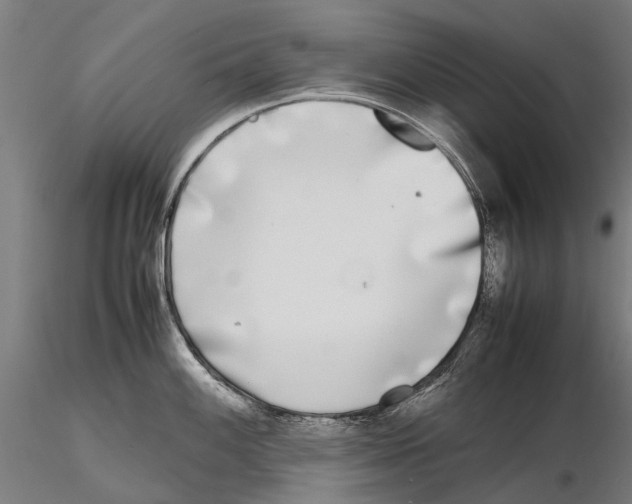 X0000115721100200912101422