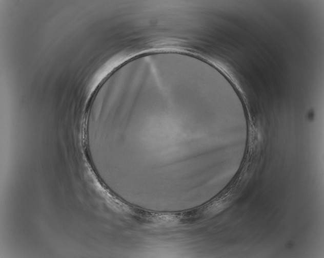 X0000115721101200912101422