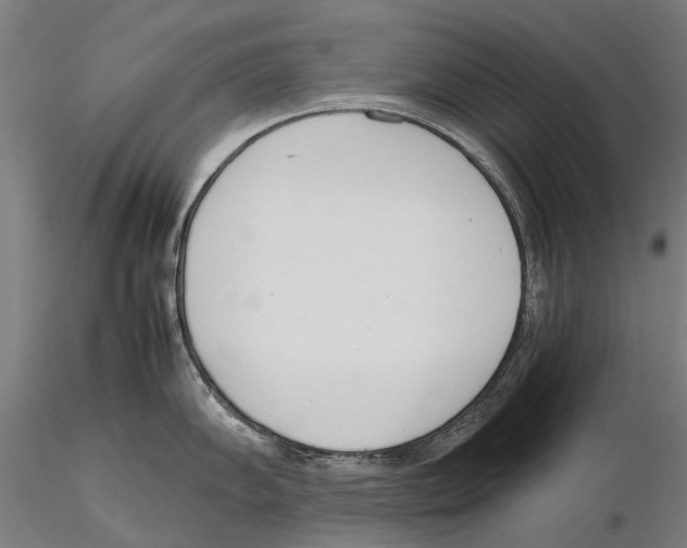 X0000115721102200912101422