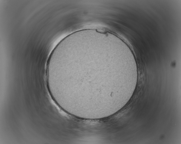 X0000115721103200912101422