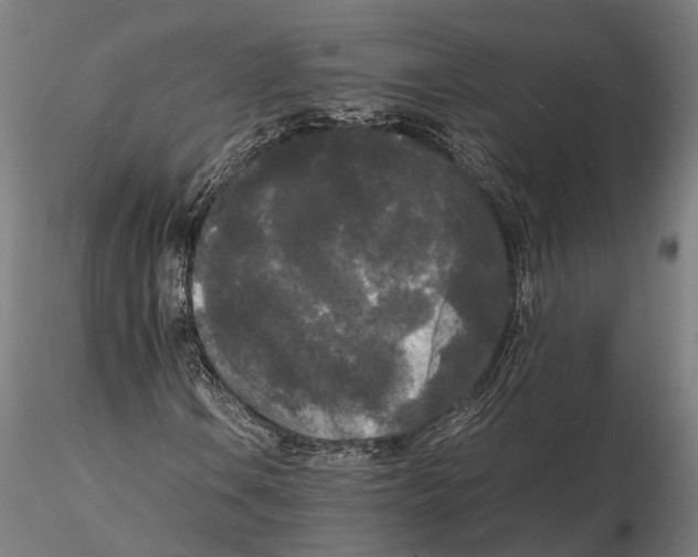 X0000115721106200912101422