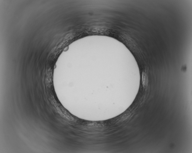 X0000115721107200912101422