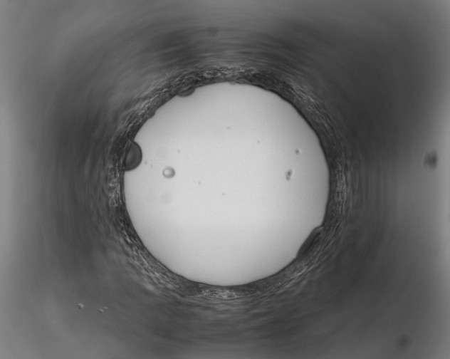 X0000115721109200912101422