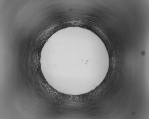 X0000115721111200912101422