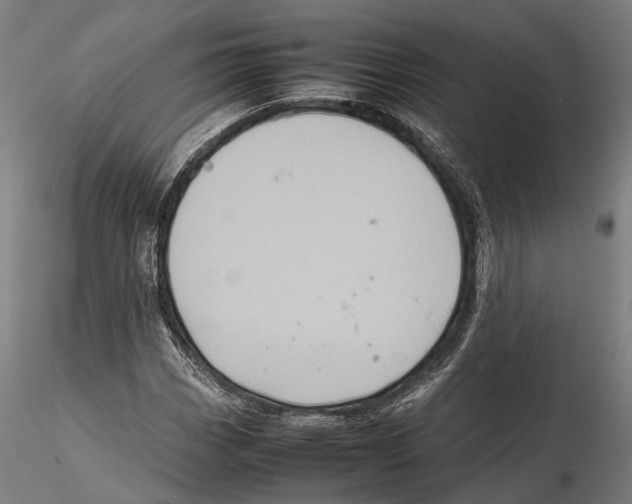 X0000115721113200912101422
