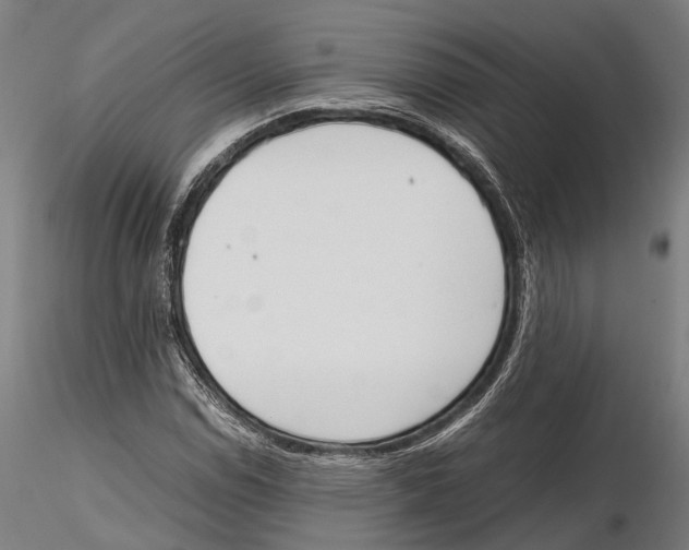 X0000115721114200912101422