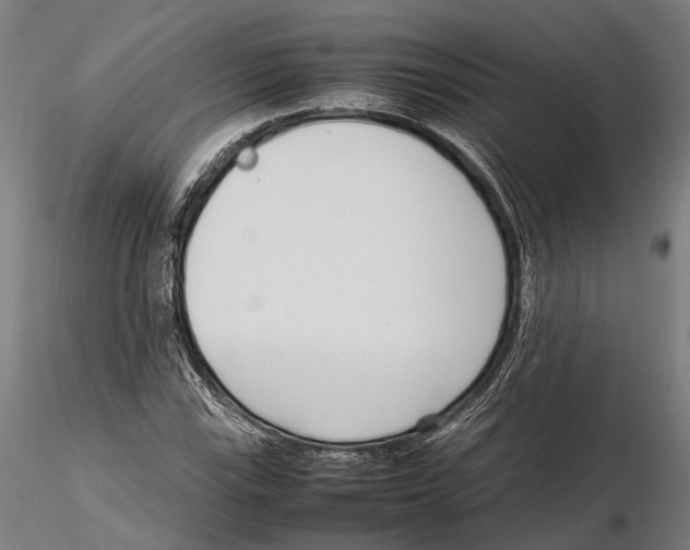X0000115721115200912101422