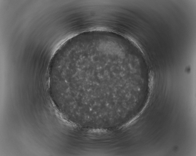 X0000115721117200912101422