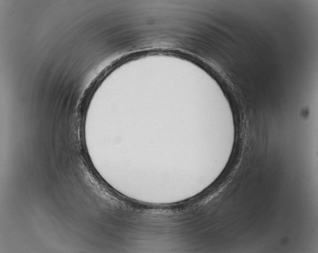 X0000115721118200912101422