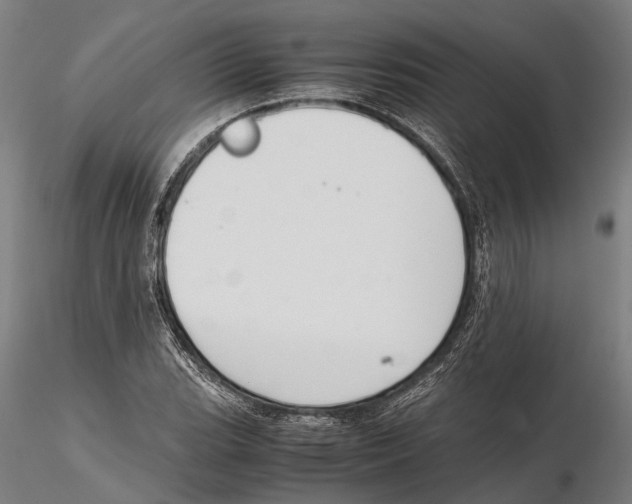 X0000115721119200912101422