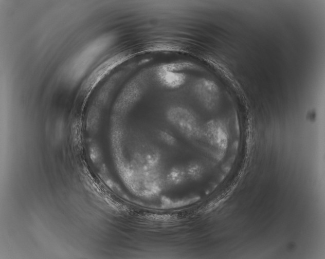 X0000115721121200912101422
