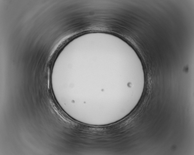 X0000115721123200912101422