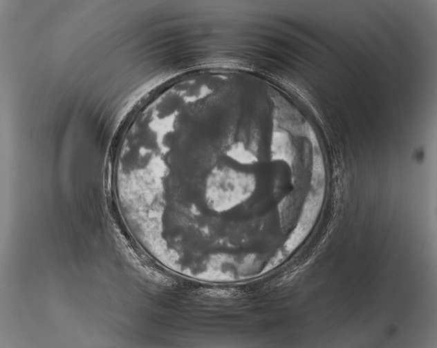 X0000115721125200912101422