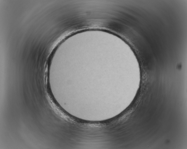 X0000115721126200912101422