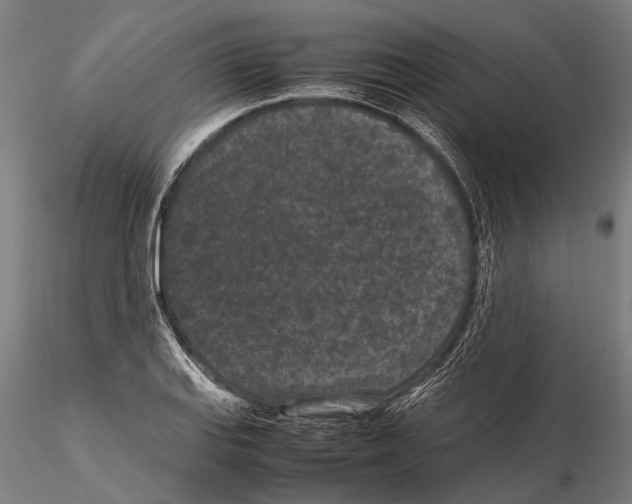 X0000115721127200912101422