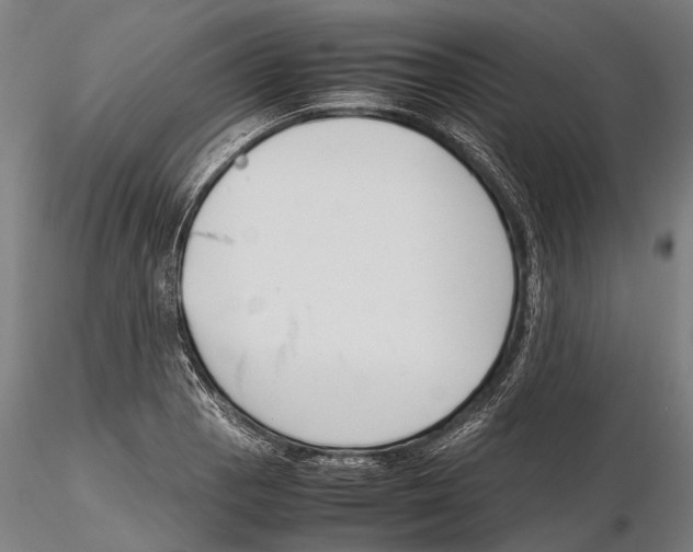 X0000115721129200912101422