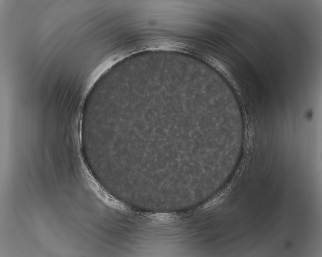 X0000115721130200912101422
