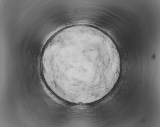 X0000115721134200912101422