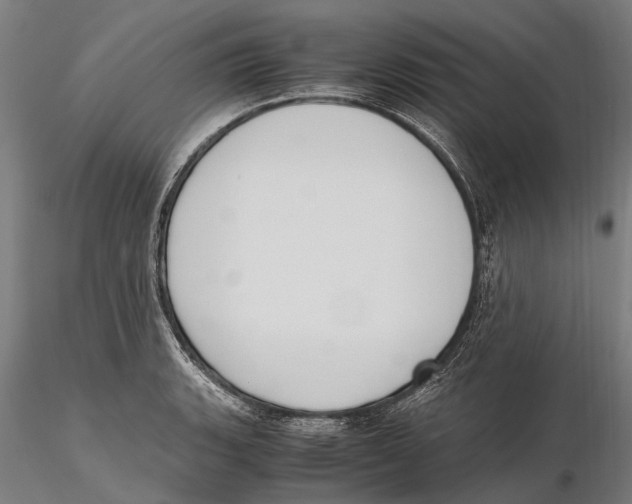 X0000115721135200912101422
