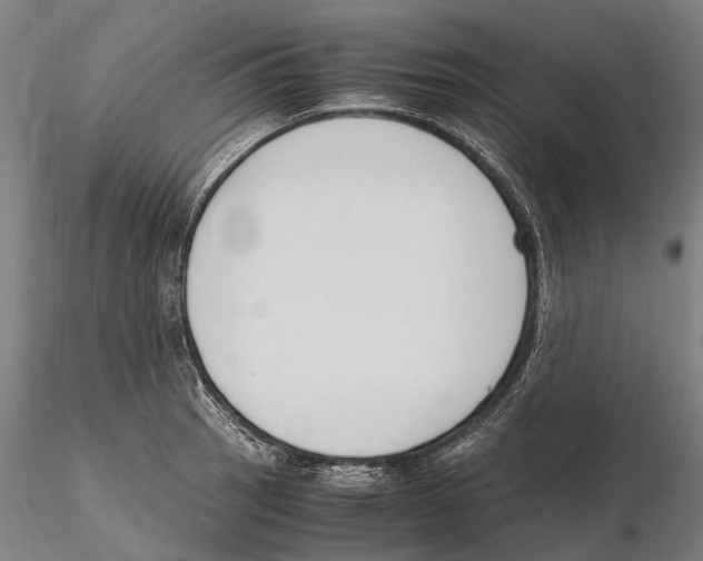 X0000115721137200912101422