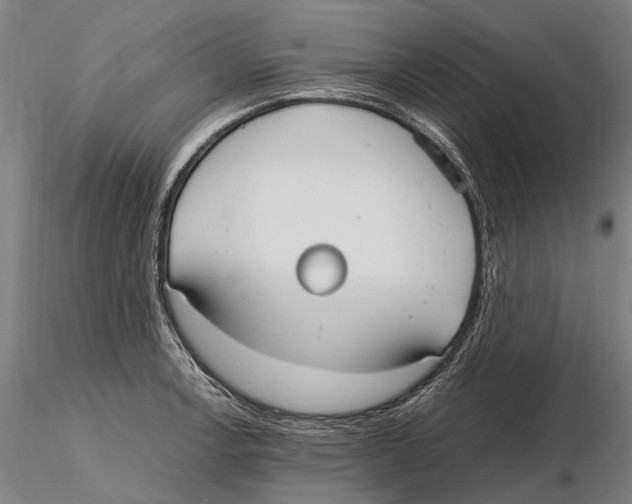 X0000115721138200912101422