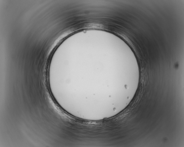 X0000115721139200912101422