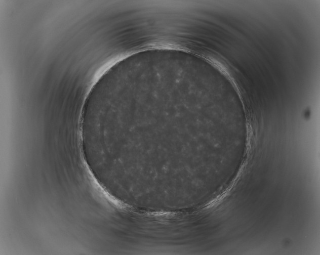 X0000115721141200912101422