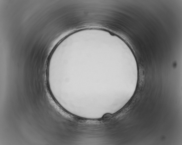 X0000115721142200912101422