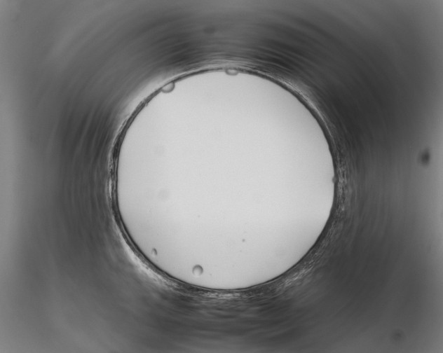 X0000115721143200912101422