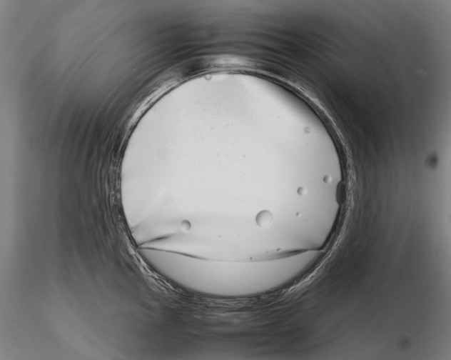 X0000115721145200912101422