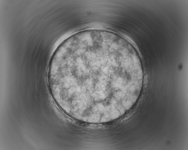 X0000115721146200912101422