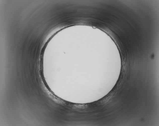 X0000115721147200912101422