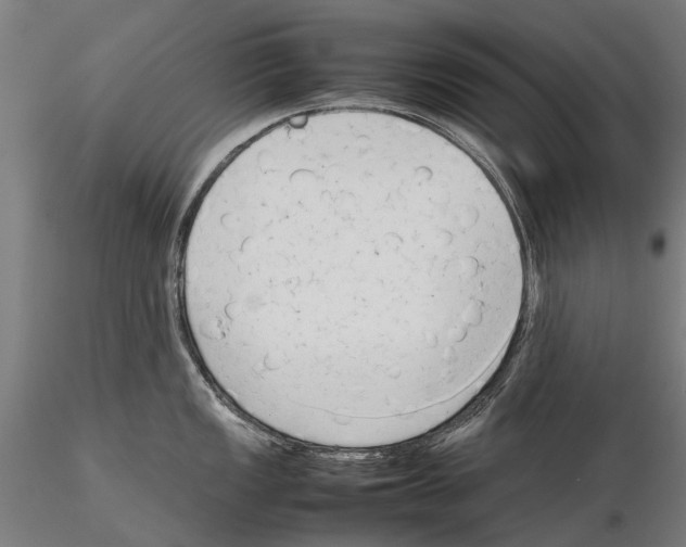 X0000115721149200912101422
