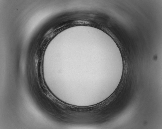 X0000115721151200912101422