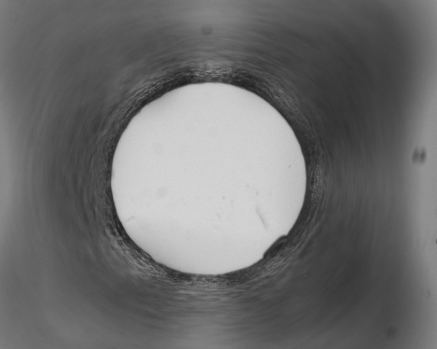 X0000115721153200912101422