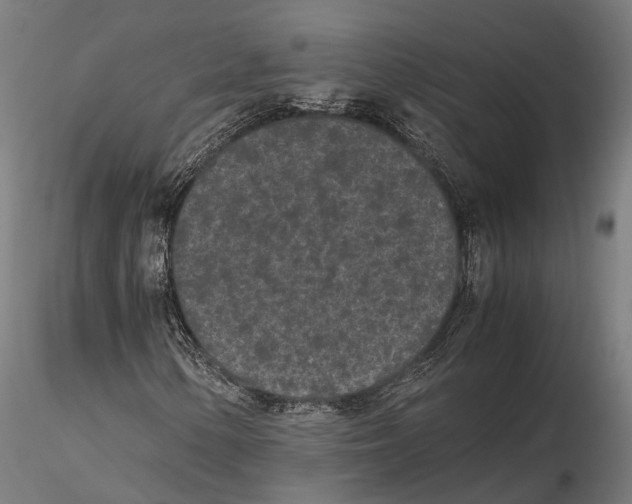X0000115721154200912101422