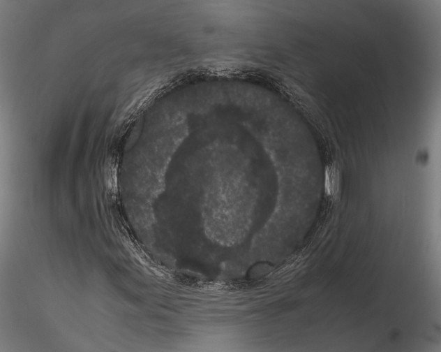 X0000115721155200912101422