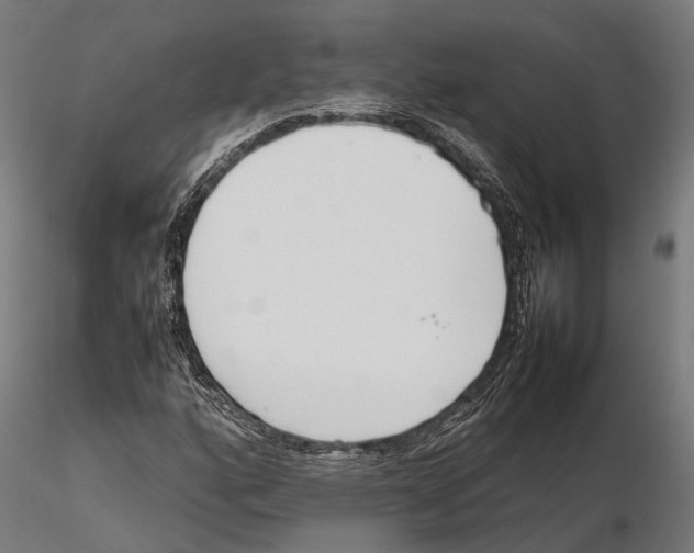 X0000115721160200912101421