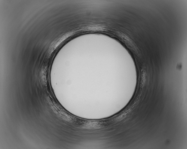 X0000115721162200912101421