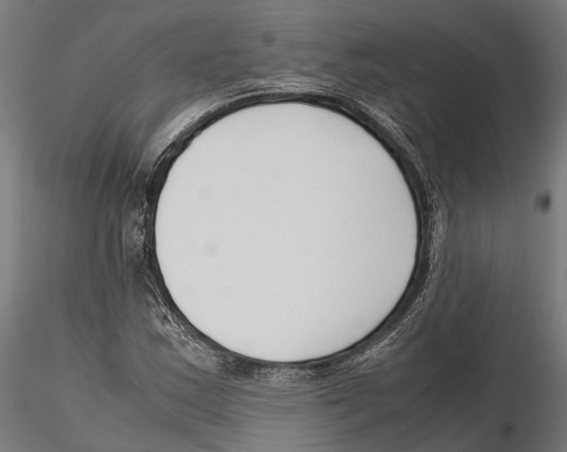 X0000115721163200912101421