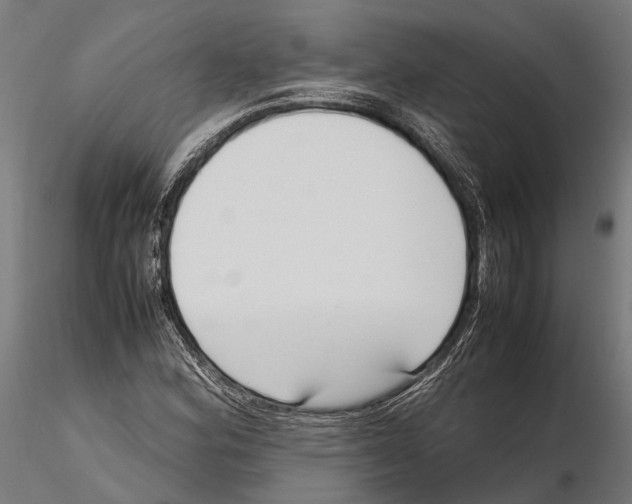 X0000115721164200912101421