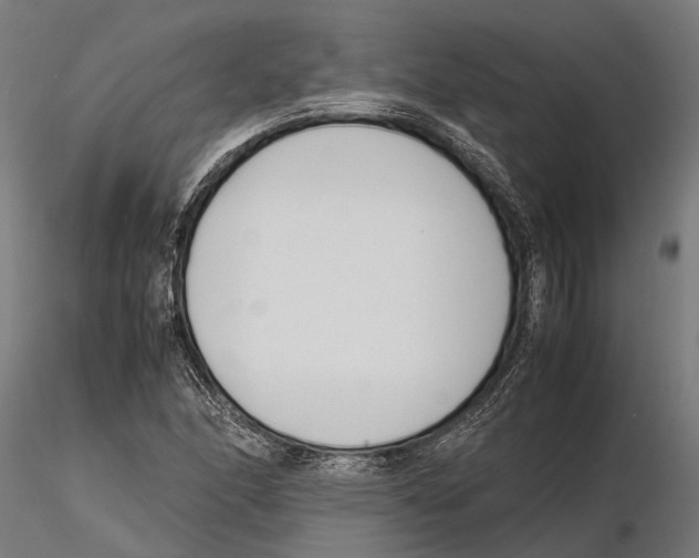 X0000115721166200912101421