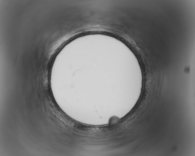 X0000115721167200912101421