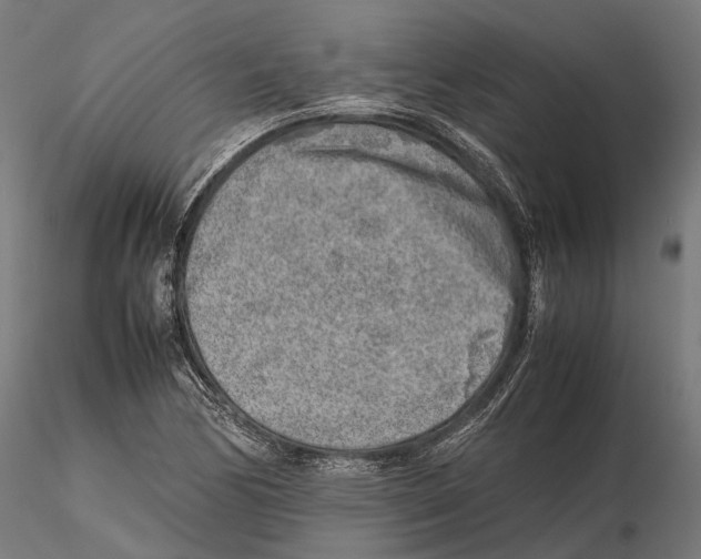 X0000115721170200912101421
