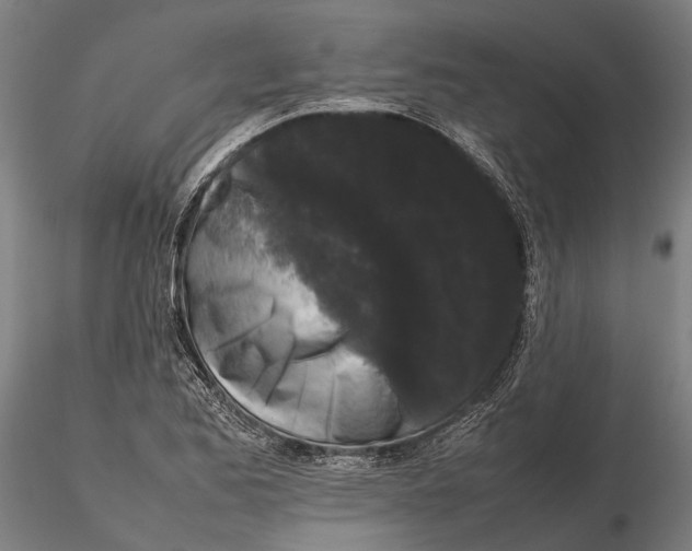 X0000115721173200912101421