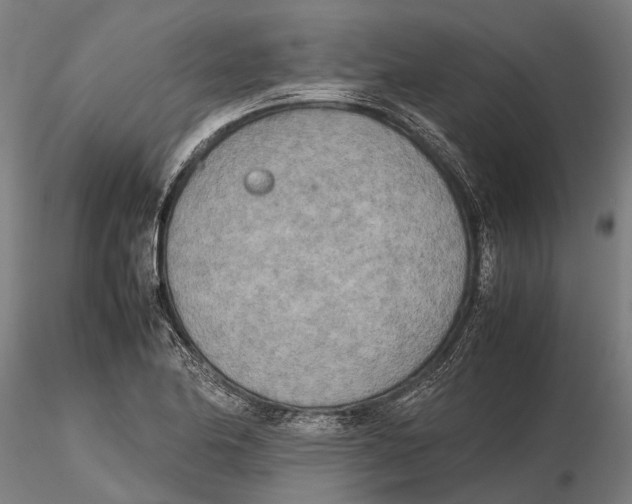 X0000115721174200912101421