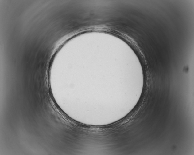 X0000115721176200912101421