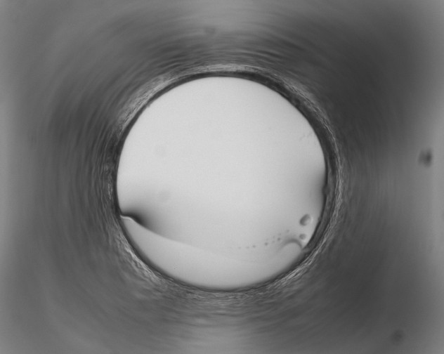 X0000115721177200912101421