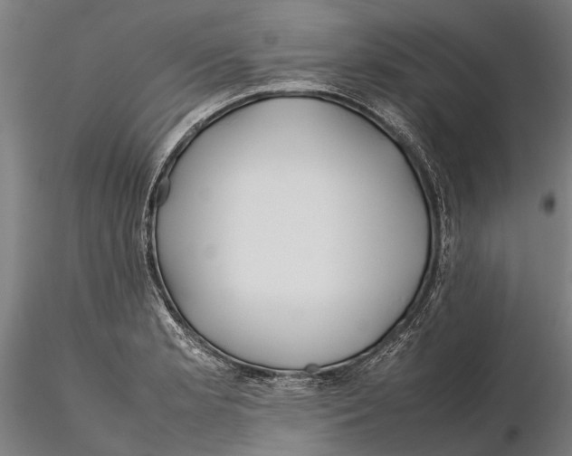 X0000115721181200912101421