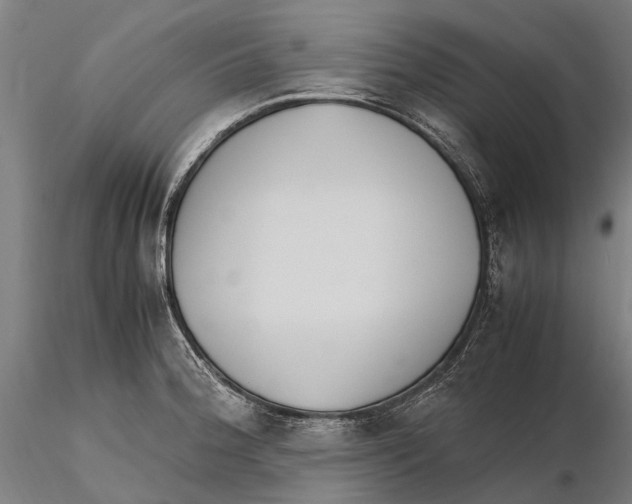 X0000115721188200912101421